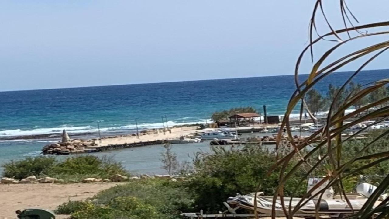 Villa Emiliana Paralimni Exteriör bild